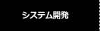 システム開発