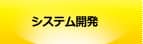 システム開発