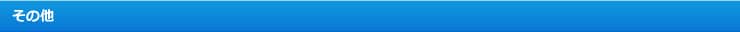 その他